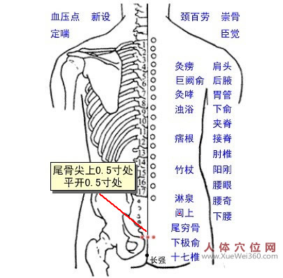 淋泉穴的位置